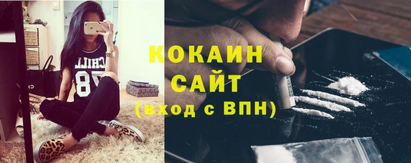 МДПВ Каменка