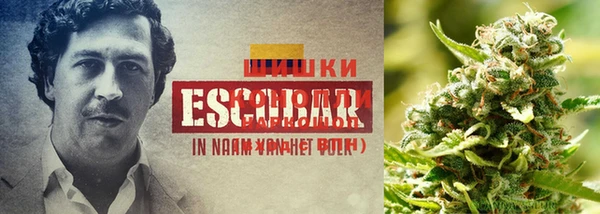 кокаин колумбия Карталы