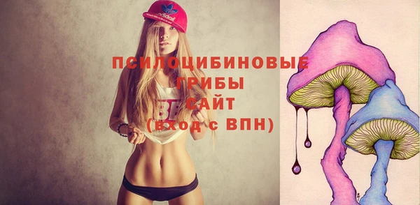 Альфа ПВП Касимов