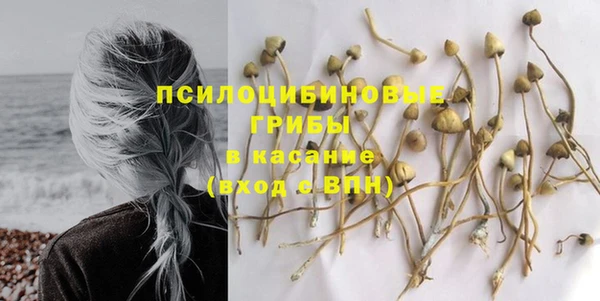 кристаллы Карпинск
