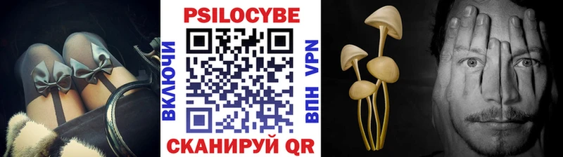 Галлюциногенные грибы мицелий  Купить где  Борисоглебск 